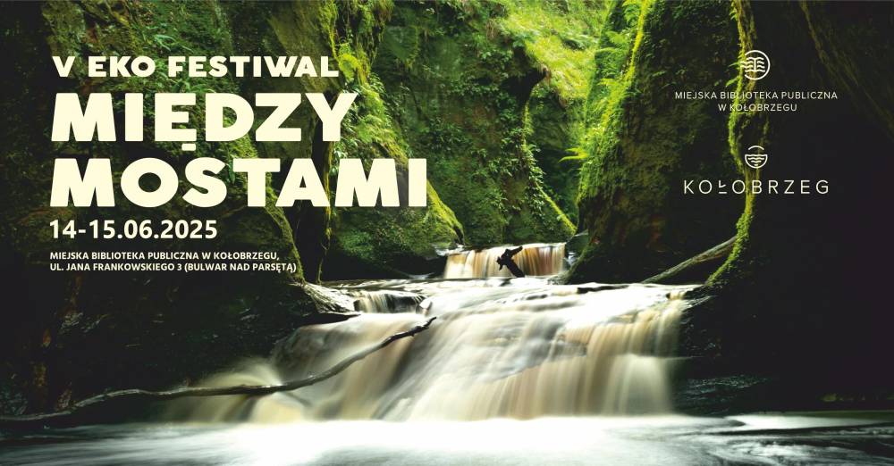 Eko festiwal - plakat