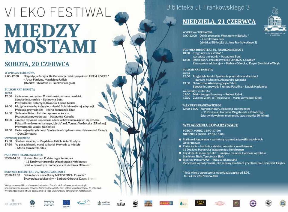 Eko festiwal plakat