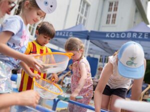 Eko festiwal fotorelacja
