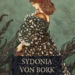 Zdjęcie okładki książki autorstwa Wilhelm von Bork o tytule Sydonia von Bork : czarownica, która zniszczyła pomorską dynastię książęcą