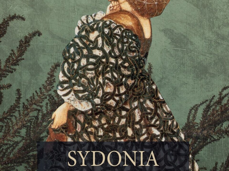 Zdjęcie okładki książki autorstwa Wilhelm von Bork o tytule Sydonia von Bork : czarownica, która zniszczyła pomorską dynastię książęcą