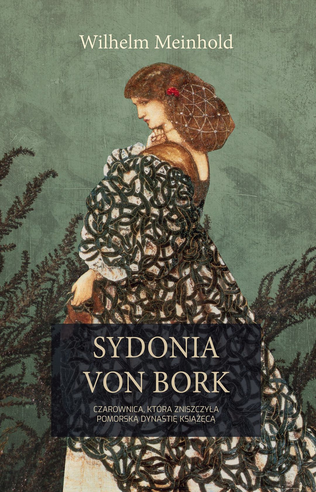 Zdjęcie okładki książki autorstwa Wilhelm von Bork o tytule Sydonia von Bork : czarownica, która zniszczyła pomorską dynastię książęcą