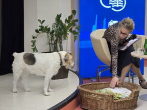 Spotkanie autorskie Justyna Budzyn